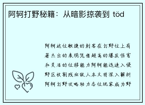 阿轲打野秘籍:从暗影掠袭到 töd의 폭발
