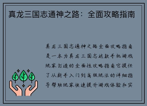 真龙三国志通神之路：全面攻略指南